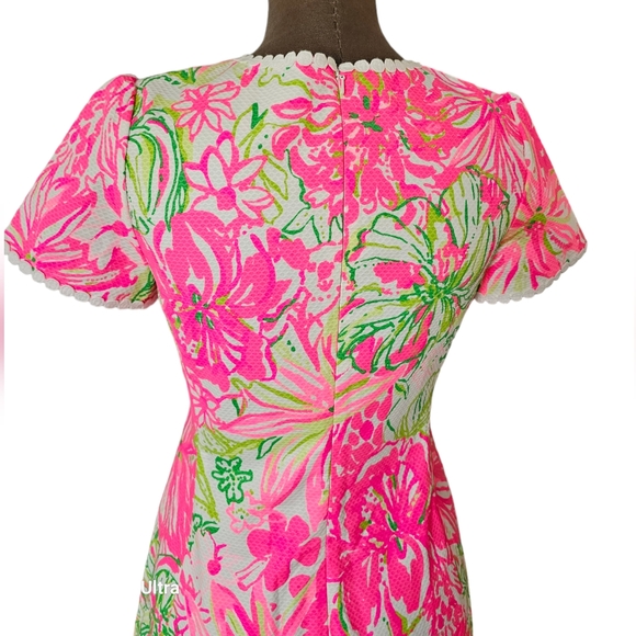 Lilly Pulitzer Maisie Resort White Koala us Maybe Stretch Pique Shift Dress Sz 2 - Picture 9 of 15